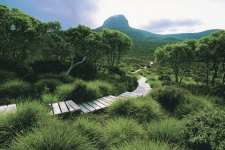 Walking Holidays: Tasmania