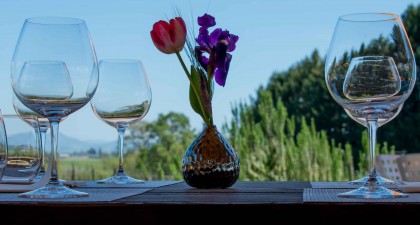Sonoma County-074