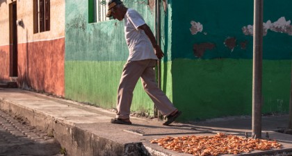 Nayarit 11128