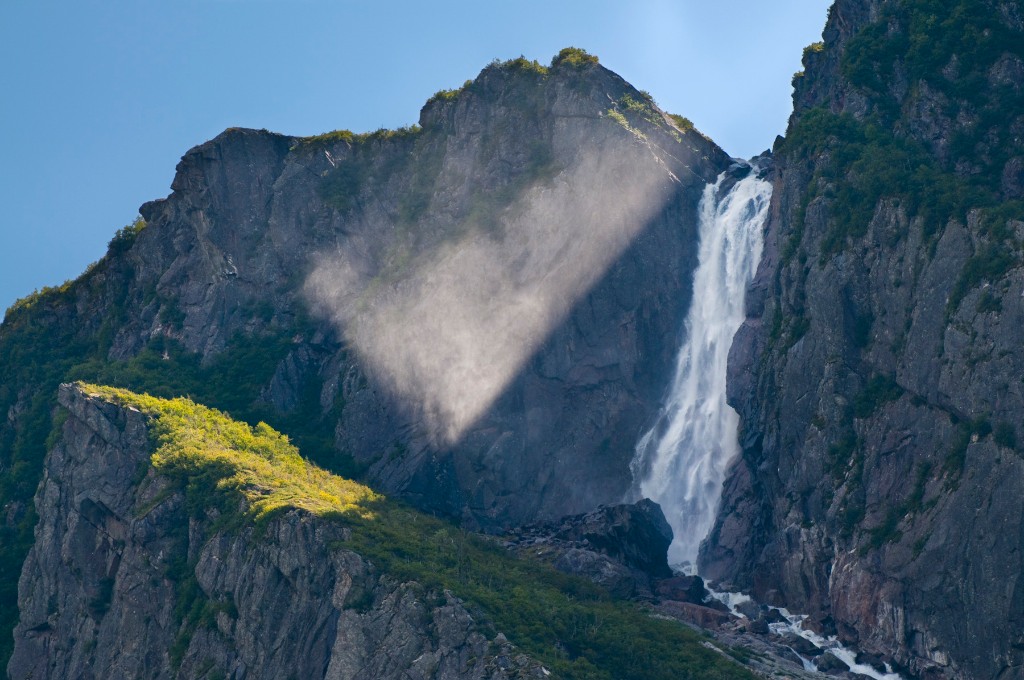 Newfoundland: Ageless Allure