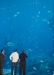 Aquarium exhibit hall at the Atlantis hotel.